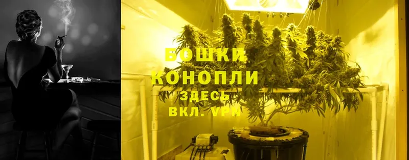 Бошки Шишки LSD WEED  закладка  Каспийск 